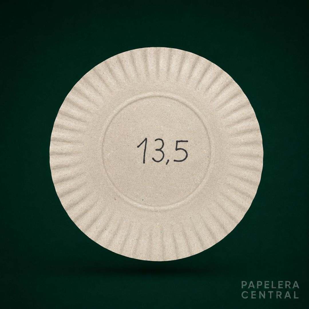 bandcarton-gris-n-13-12-x-100-x900-3922