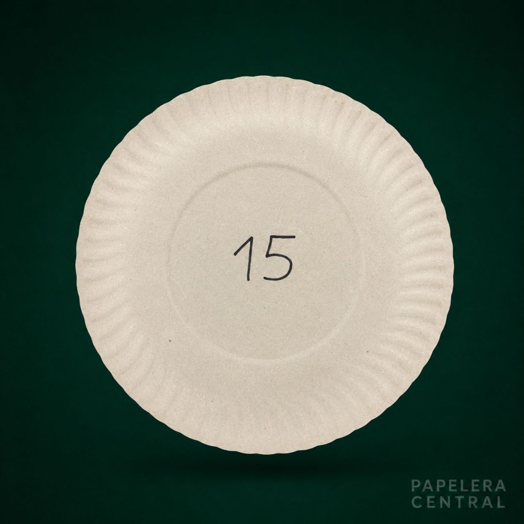 bandcarton-gris-n15-x-100-x600-3924