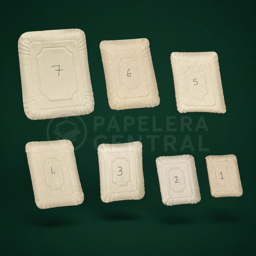 bandcarton-gris-n6-refx600-3930