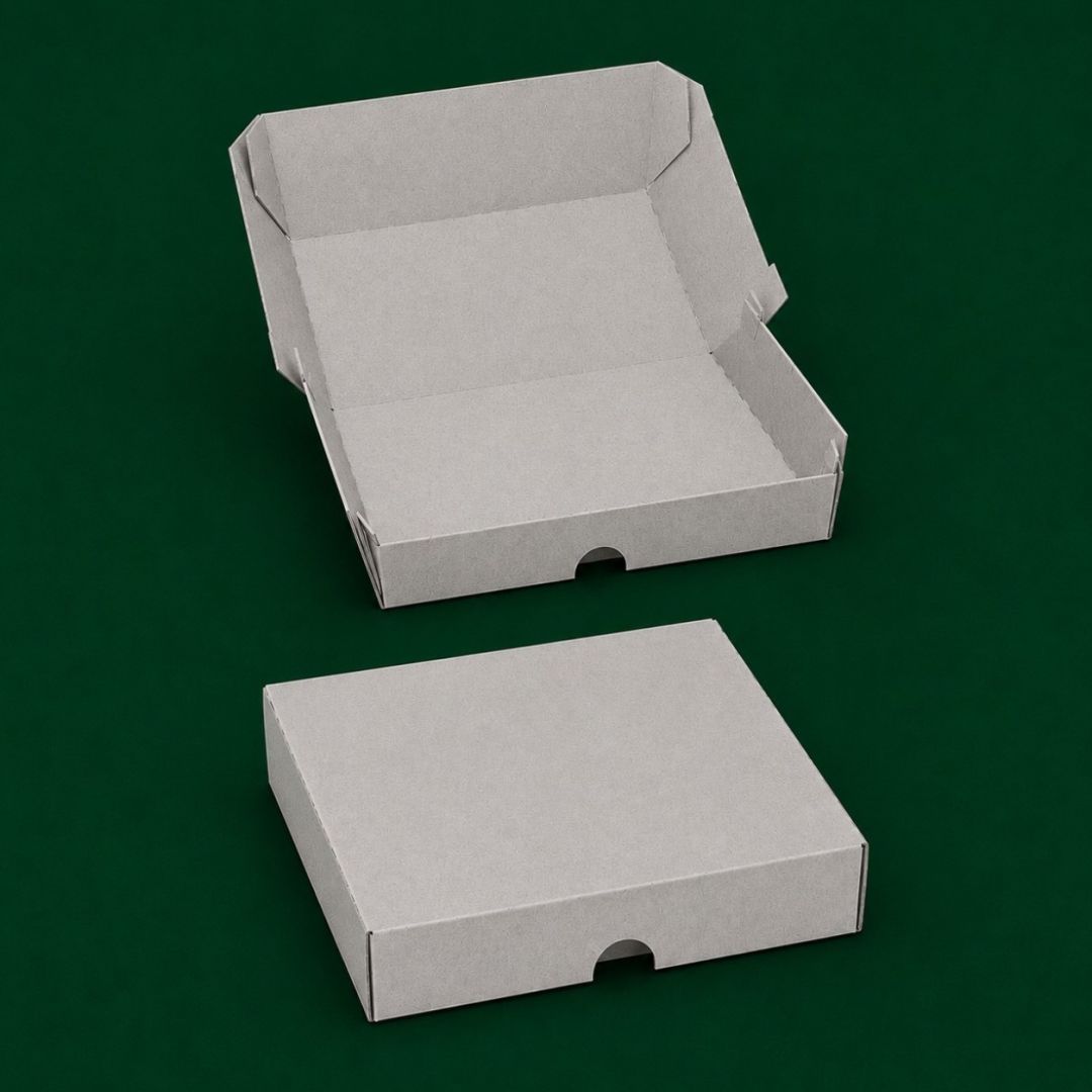 cajas-pravioles-12kg-1-plancha-x-100-4621