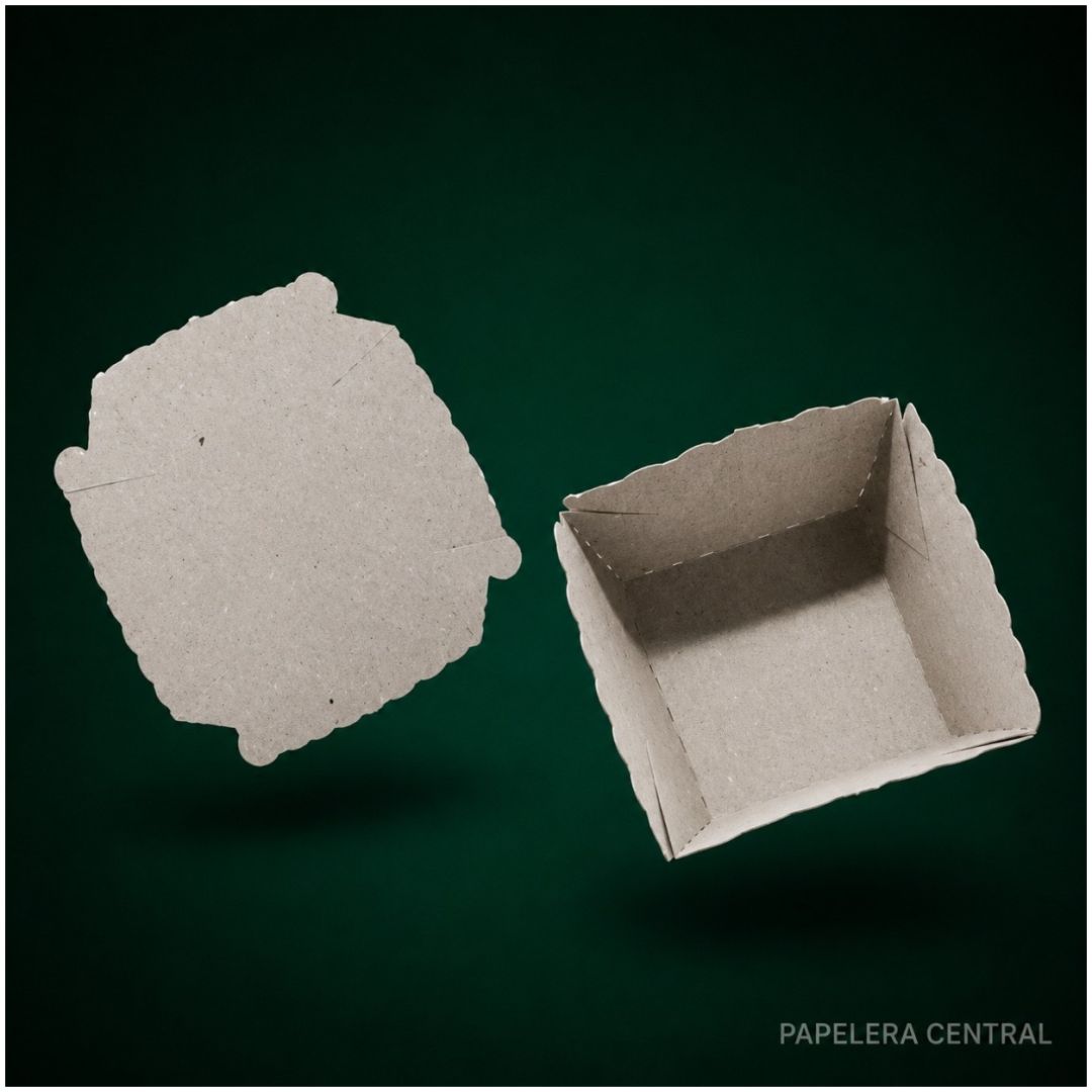 noquera-gris-n-0-x-100u8x8x5-4625