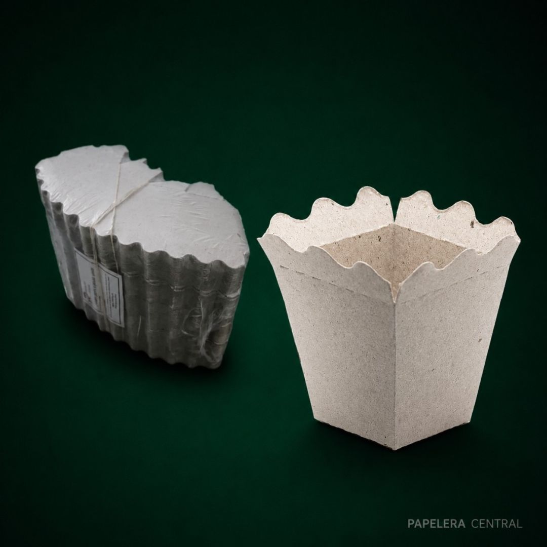 cono-ppapas-gris-cbase-x-100u-x500-4631